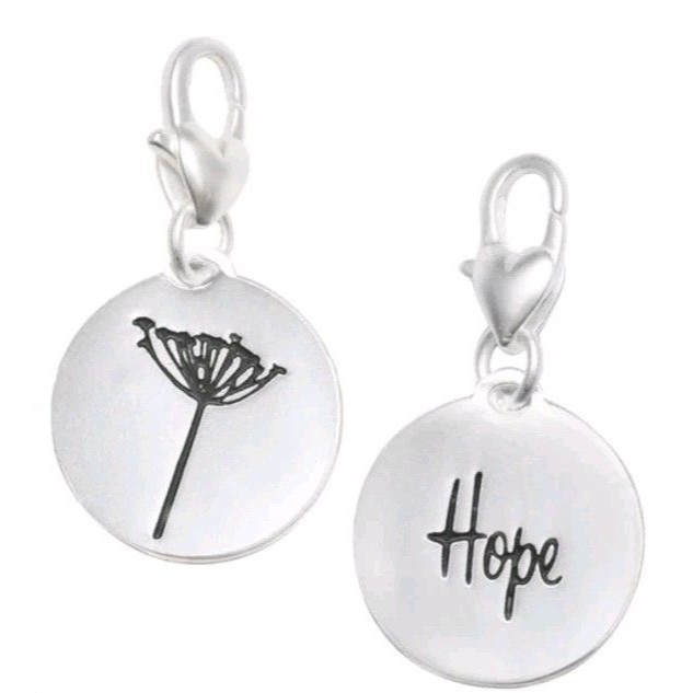 Heartfelt Emotions Dandelion Hope Medallion Silver Necklace Charm Pendant New 12$